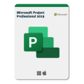 Microsoft Project Professional 2019